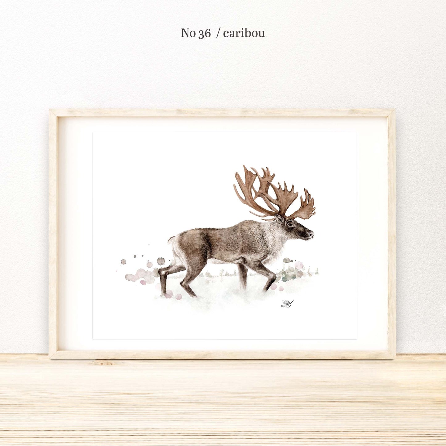 Illustration / Série 3 - Animaux du Québec