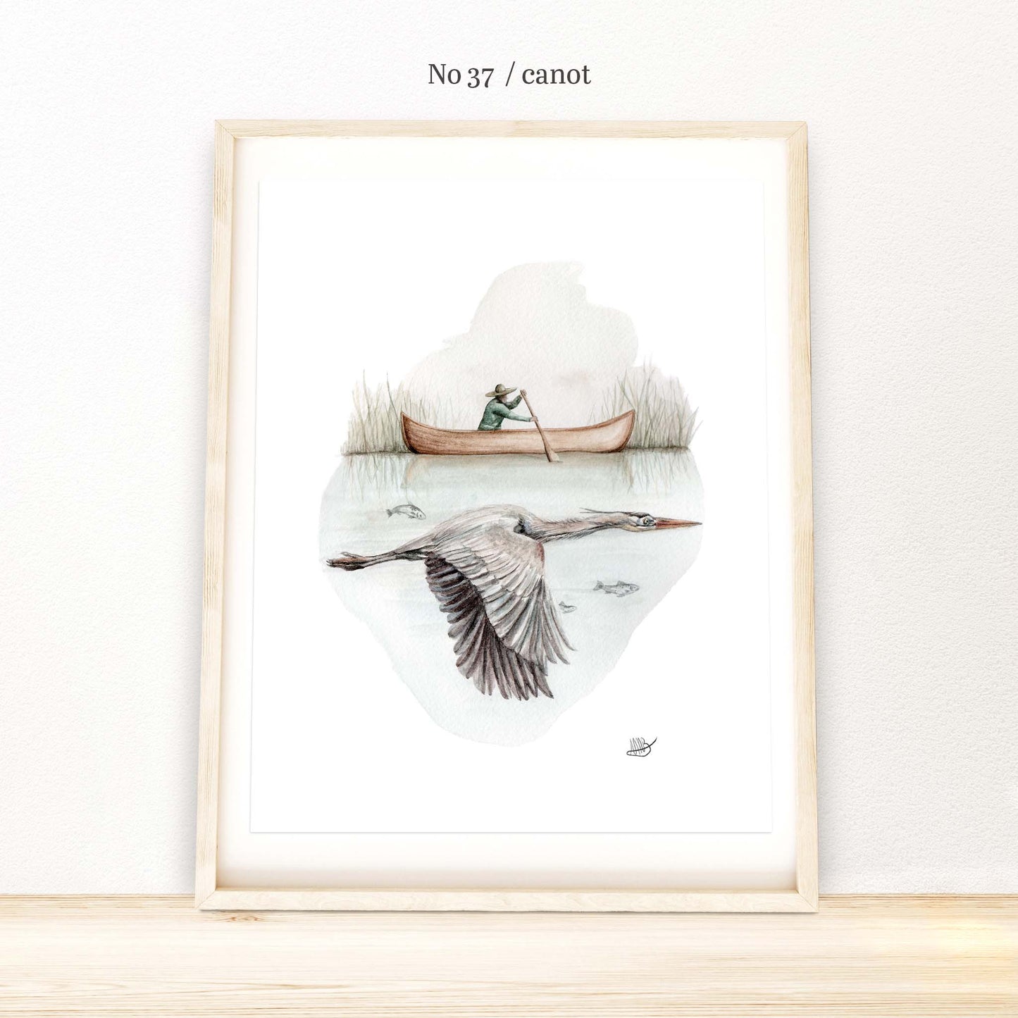 Illustration / Série - Nature