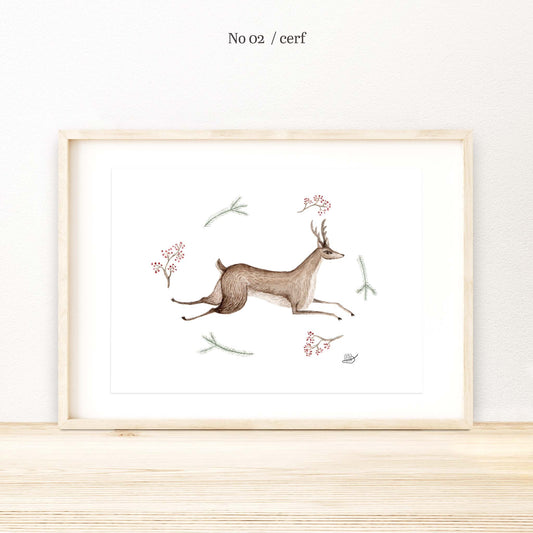Illustration / Série 1 - Animaux du Québec