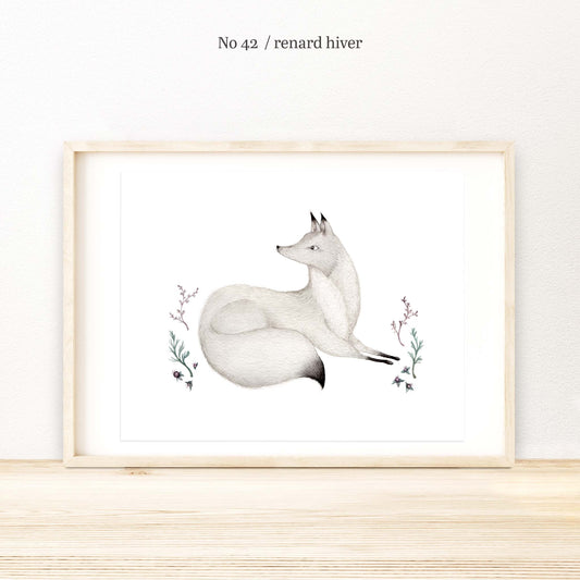 Illustration / Série - Animaux d'hiver