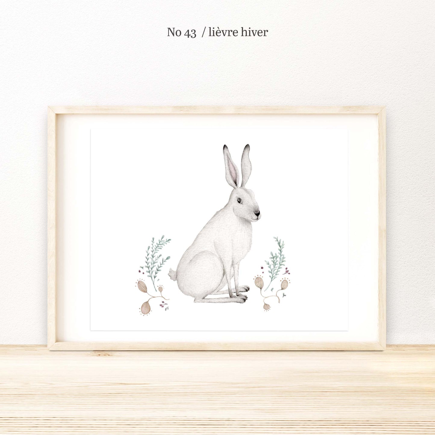 Illustration / Série - Animaux d'hiver