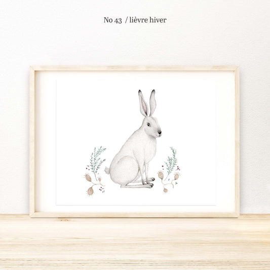 Illustration / Série - Animaux d'hiver