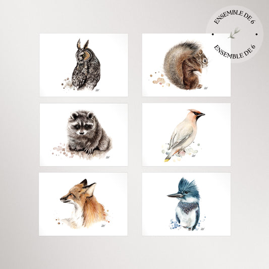 Lot de 6 cartes de souhaits / Série 3